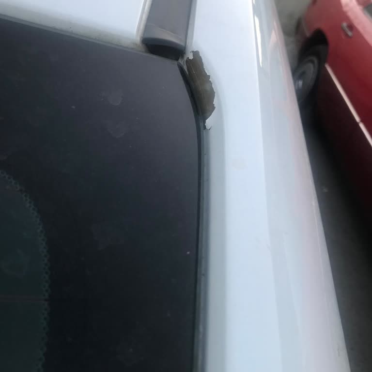 2017 Honda Civic Boya Atması!