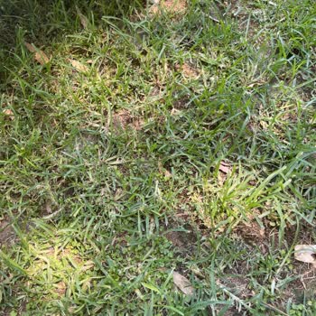 Queen's Park Hotels Le Jardin Queen Park Le Jardin İnsanların Sağlığını Hiçe Sayıyor