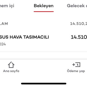 Pegasus Nezdinde İsteğimizin Hiçbir Önemi Yok!