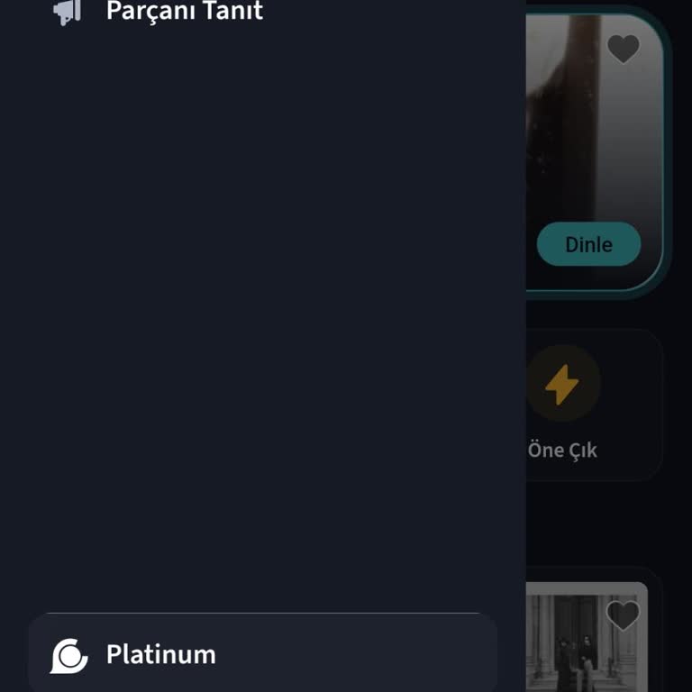 Makromusic Mod Bolumu Yok