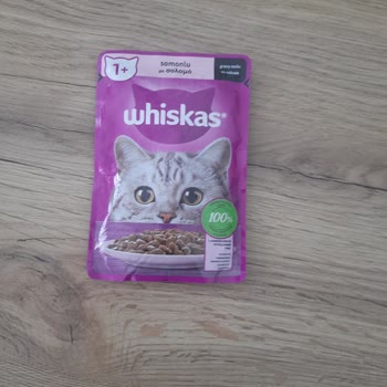 Trendyol Titanik Shop 15 Kg Ürün Yerine Küçücük Yaş Mama Yollaması!