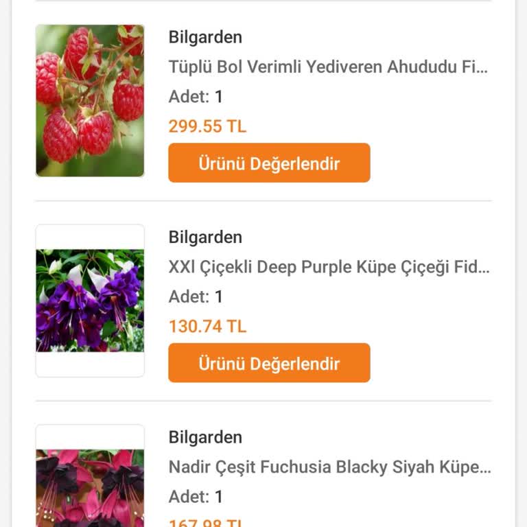 Trendyol Ve Bilgarden'dan Gelen Kurumuş Fidanlar