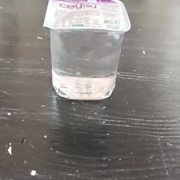 Ceysu Suyun İçinde Gezen Garip Şeyler!