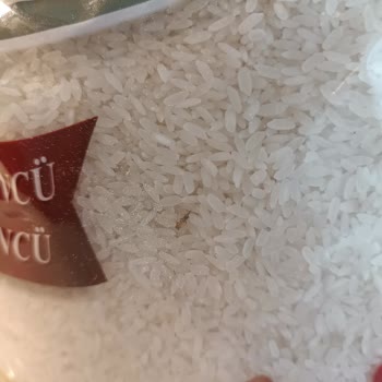 Öncü Bakliyat Firması Pirinç Böcekleri