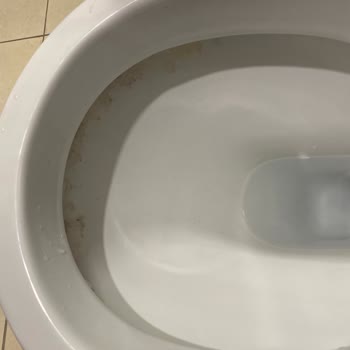 Giresun Üniversitesi Prof. Dr. A. İlhan Özdemir Eğitim Ve Araştırma Hastanesi Temizlik Ve Hijyen