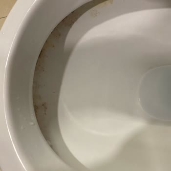 Giresun Üniversitesi Prof. Dr. A. İlhan Özdemir Eğitim Ve Araştırma Hastanesi Temizlik Ve Hijyen