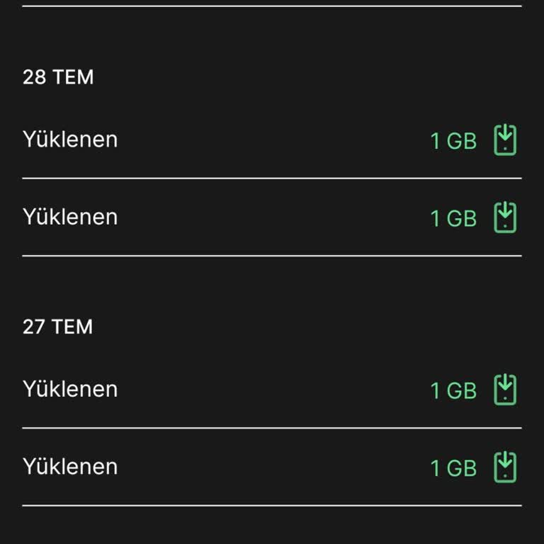 Kim GB İster Metabyte Dönüşüm Hatası Ve İnternet Kaybı
