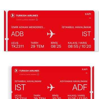 Türk Hava Yolları Transfer Yolcu Mağduriyeti
