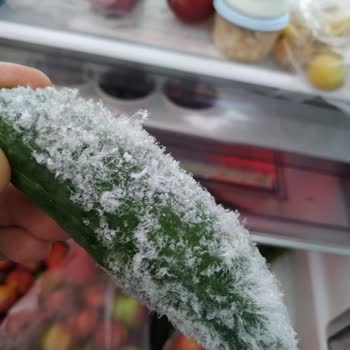 Arçelik Buzdolabı Acil Şikayet