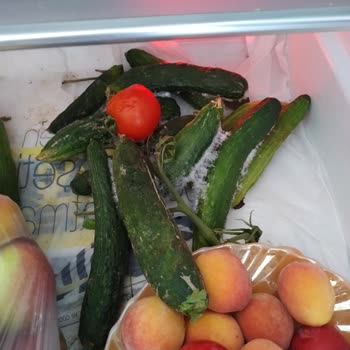 Arçelik Buzdolabı Acil Şikayet