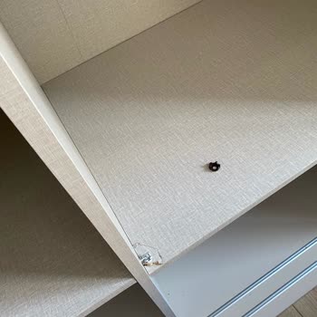 Doğtaş Mobilya Mobilya Montaj Ve Servis Süreci Değerlendirmesi