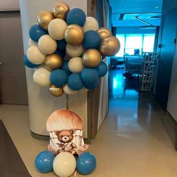 Moli Organizasyon Telafisi Olmayan Bir Durum