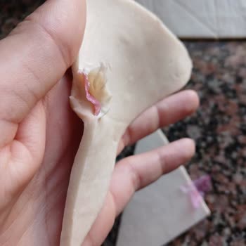 BİM Hatalı Ürün "milföy Hamurunun İçinden Poşet Çıktı"