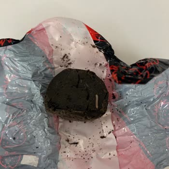 Evliya Şekerleme Kurtlu Çıkan Çikolata