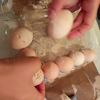 Migros Kırılmış Yumurta Ve Yanlış Ürün Getirdi. İade Yapmıyor.