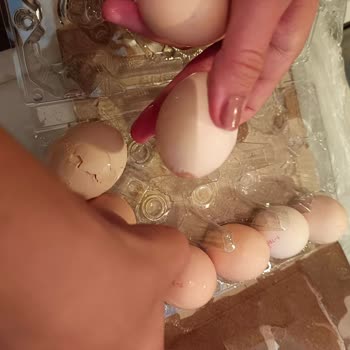 Migros Kırılmış Yumurta Ve Yanlış Ürün Getirdi. İade Yapmıyor.