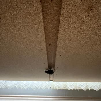 Enza Home Koltuk Kendi Olduğu Yerde Dökülüyor
