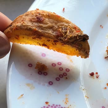 Torku Dondurulmuş Patatesin İçinden Böcek Benzeri Bir Tür Çıktı!