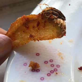 Torku Dondurulmuş Patatesin İçinden Böcek Benzeri Bir Tür Çıktı!