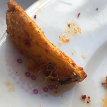 Torku Dondurulmuş Patatesin İçinden Böcek Benzeri Bir Tür Çıktı!