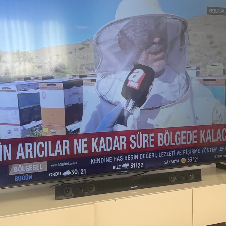 Skytech TV Çalışmıyor 85 İnç