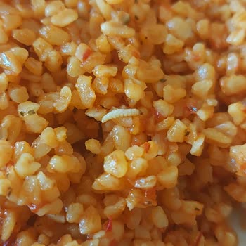 A101 Aldığım Bulgurun İçinde Böcek Çıktı