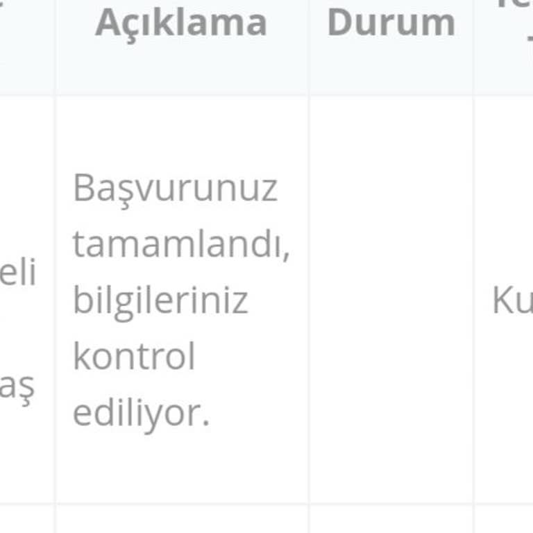 Passolig Başvurunuz Tamamlandı, Bilgileriniz Kontrol Ediliyor