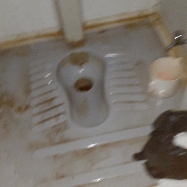 Keşan Belediyesi. Mecidiye Muhtarlığı İşlettiği İtalyan Koyu Pislik