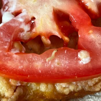 Burger King Dudullu Şubesinde Şok Edici Olay: Chicken Hamburgerden Solucan Çıktı