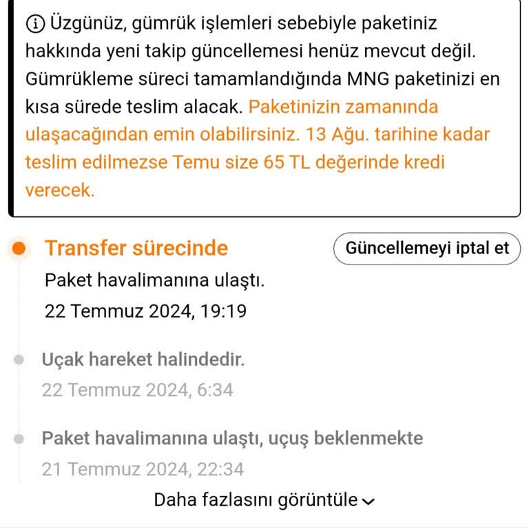 Temu Turkiye Gumruk İsini Neden Yapmıyor?