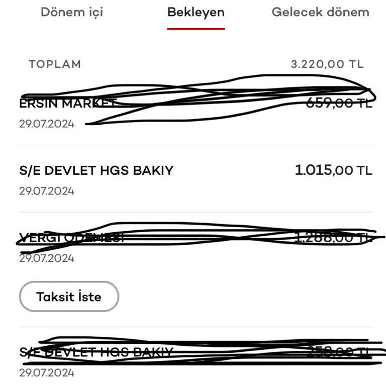 E-devlet Kanalı İle HGS Yükleme Sorunu Paramı Çekti Bakiye Yok