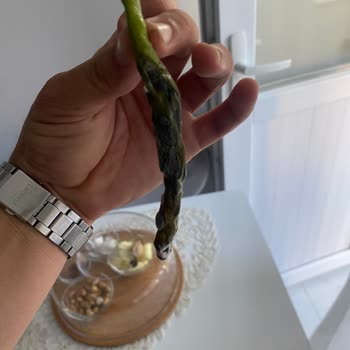 Bıktık Artık Bu Bosch Markanın BOZUK/KUSURLU Mal Satmasından