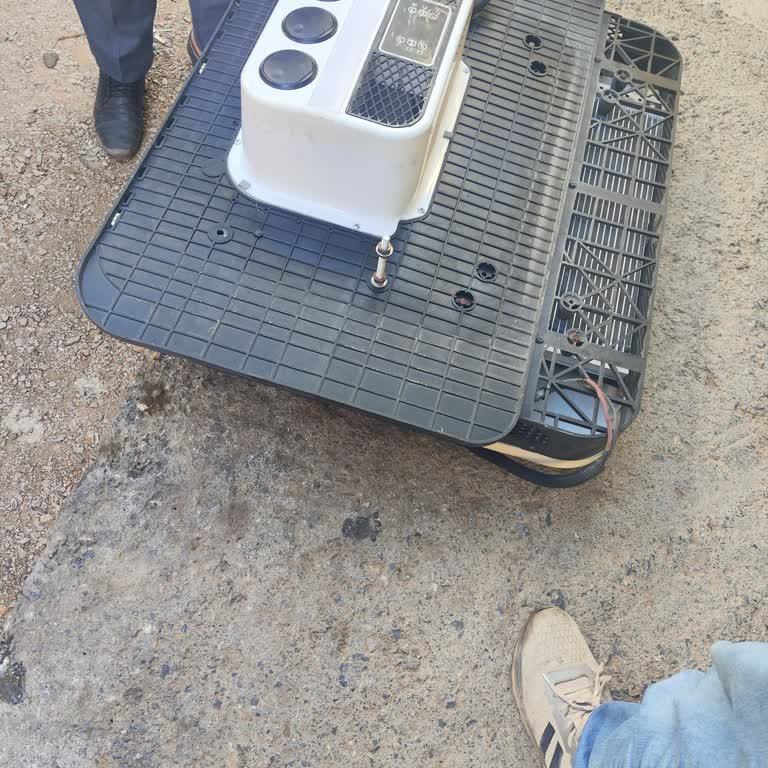 Yine Tüvtürk Yine Bela