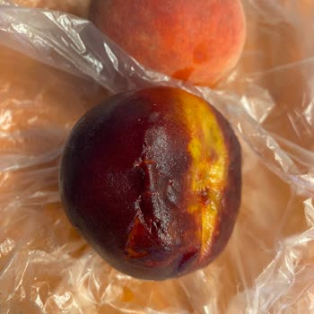 Migros Santra Çankaya Sürekli Özensiz Ve Hatalı Ürün Teslimi