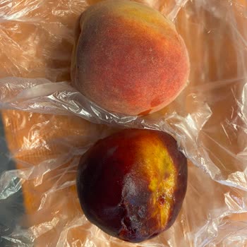 Migros Santra Çankaya Sürekli Özensiz Ve Hatalı Ürün Teslimi