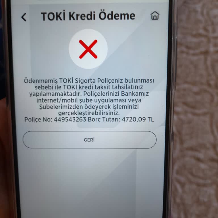 Türkiye Sigorta Bilgim Dışında Sigorta Kesimi