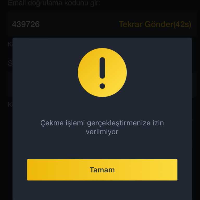 Binance TR Hesap İnceleme Blokesi