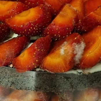 Kukis Pastane Kukis Acıbadem Şikayet