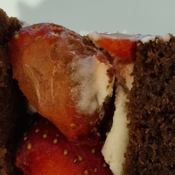 Kukis Pastane Kukis Acıbadem Şikayet