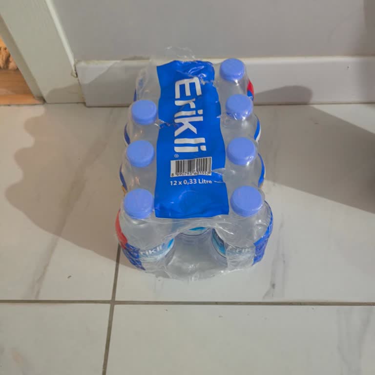 Erikli Su Kötü Koku Şikayeti