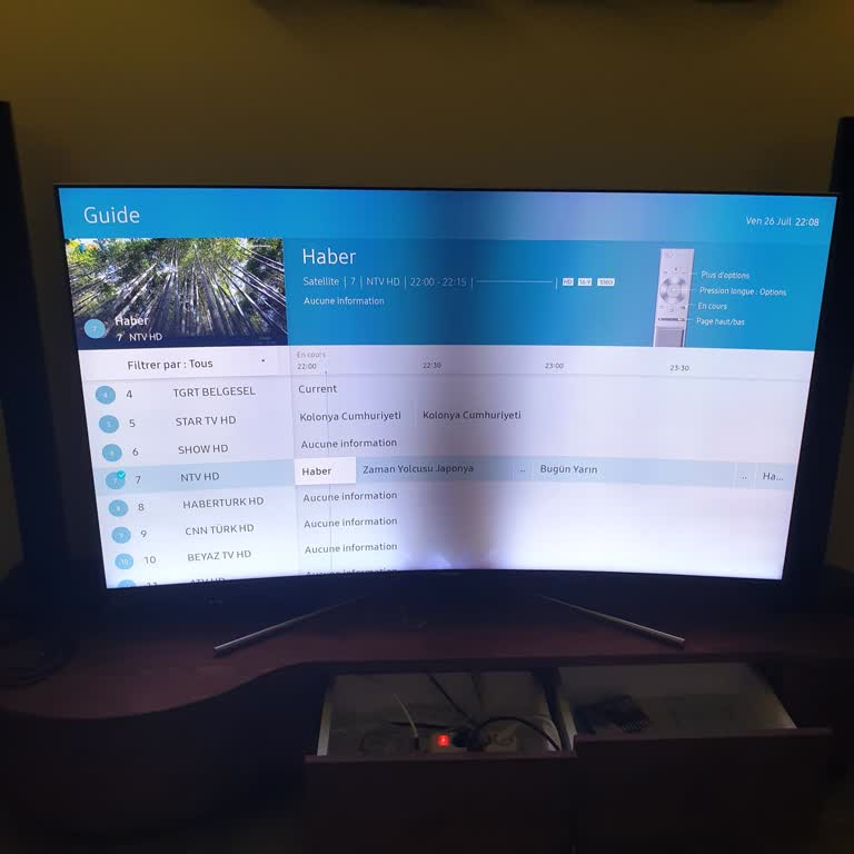 Samsung Televizyon Ekranı Arızası
