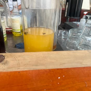 Mio Bianco Resort Mio Bianco Mio Kare