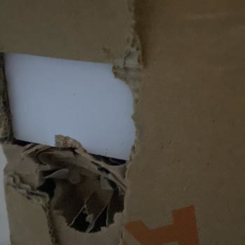Evdemo Lojistik Şirketinin Özensizliği Ve İş Bilmezliği