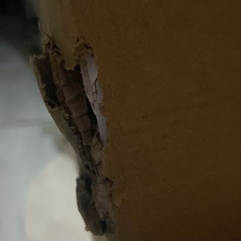 Evdemo Lojistik Şirketinin Özensizliği Ve İş Bilmezliği