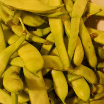 Carrefour SA Çürük Meyve Ve Sebze Yollanmış.