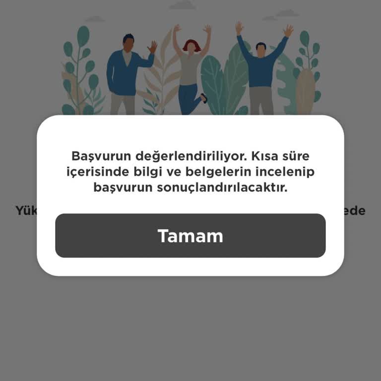 Martı Tag Araç Onay Süreci Çok Uzun