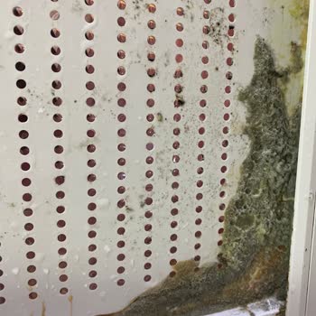 Arçelik Buzdolabımız Küf Üretme Fabrikası!