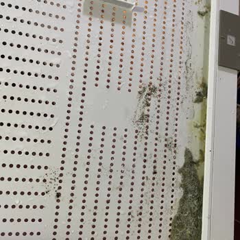 Arçelik Buzdolabımız Küf Üretme Fabrikası!