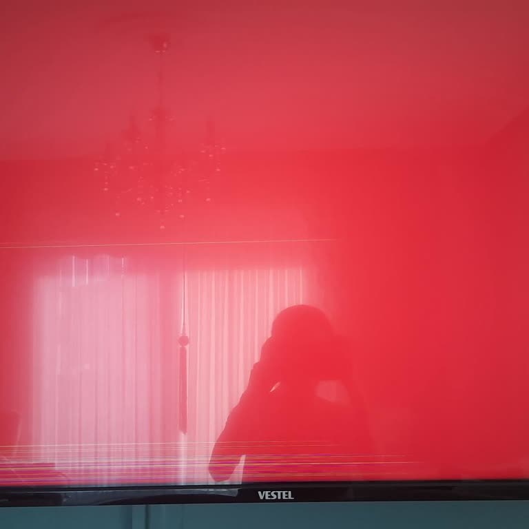 Vestel TV Panel Arızası.