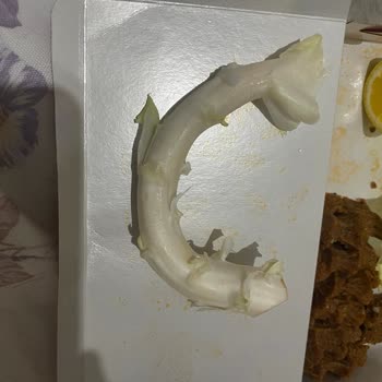 Komagene Sipariş Gönderme Sıfır Müşteri Beyanı Sıfır